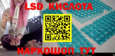 прущие грибы Усть-Джегута