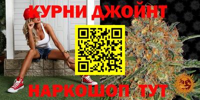 прущие грибы Усть-Джегута