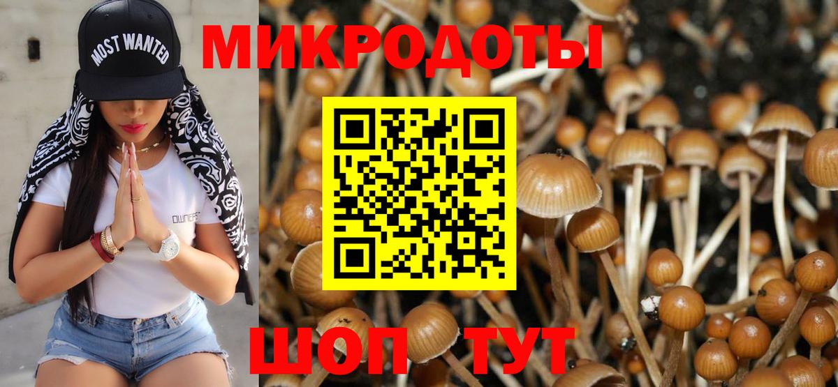 Астрахань  Псилоцибиновые грибы GOLDEN TEACHER  Вход с VPN 