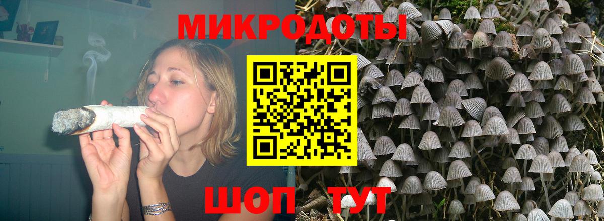 Псилоцибиновые грибы прущие грибы Астрахань